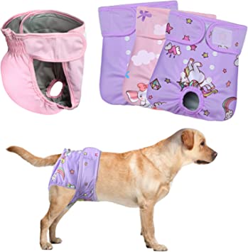 Petbank Female Dog Diapers - Pack of 4 Reusable, Leak Proof Dog Diapers, Super Absorbent Soft Breathable Washable Dog Diapers, Durable Dog Diapers (M)