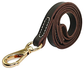 Fairwin Leather Dog Leash - Heavy Duty Best No Pull Dog Leashes for Medium and Large Dogs Training and Walking 4ft/ 5ft (Black/ Brown)