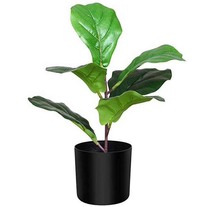 CROSOFMI Artificial Fiddle Leaf Fig Tree Plant 15.4 Inches Fake Ficus Lyrata with 6 Leaves Faux Fig Tree in Pot for Indoor Outdoor House Home Office Modern Decoration Perfect Housewarming Gift_4