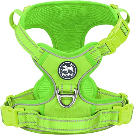 PoyPet No Pull Dog Harness, No Choke Reflective Dog Vest, Adjustable Pet Harnesses with 2 Leash Attachments with Easy Control Padded Handle for Small Medium Large Dogs(Green Matching Trim,XL)