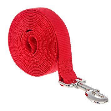 Dog Leash, Itery Dog Leash Pet Durable Leash Strap for Puppy Pet Leash Rope 10-feet Long 1” Wide