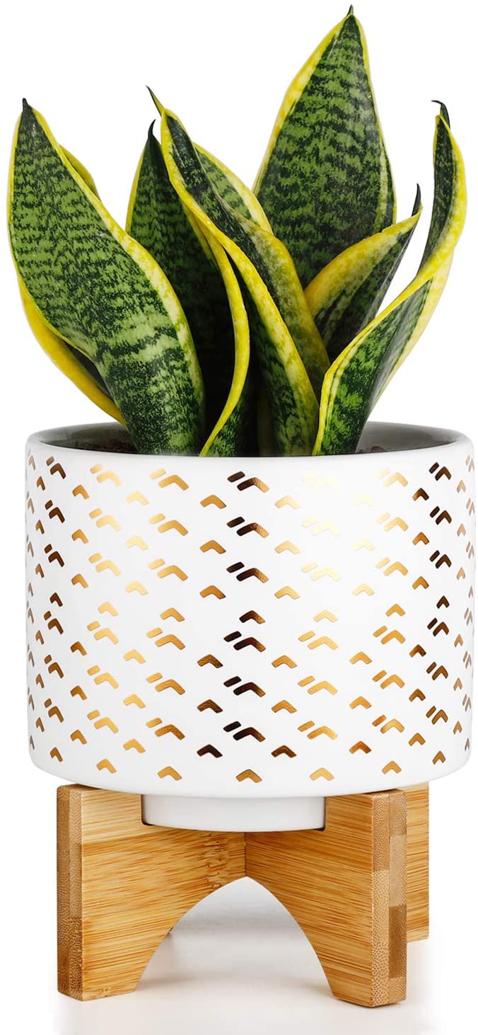 Greenaholics Medium Plant Pot - 5.5 Inch Cylinder White Ceramic Planter with Arched Bamboo Stand, for Small Herb, Snake Plant Seedling