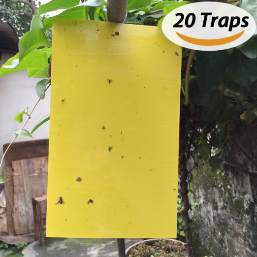 BESKIT 20-Pack Dual-sided Yellow Sticky Traps for Fungus Gnat, Whitefly, Aphid, Leaf Miner, Other Flying Insects, Bugs (10x6 Inches, 20Pcs Twist Ties Included)