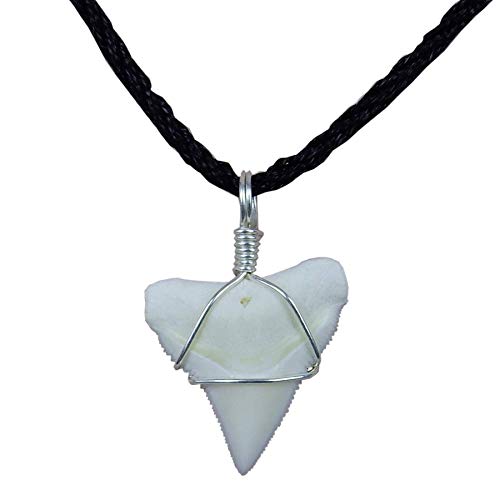 GemShark Real Shark Tooth Necklace Bull Sterling Silver Handmade Charm Pendant Sharks Week Party Toys
