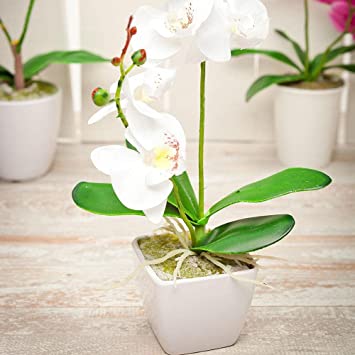 Faux Fiore White Orchid - White Pot - Faux Plants - 13.4" - 1ct Box - Restaurantware