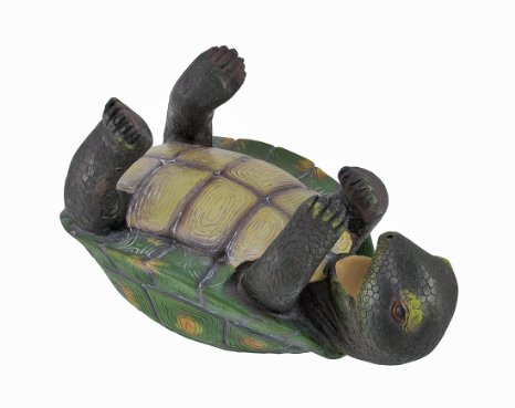 Slow But Steady Turtle Wine Bottle Holder