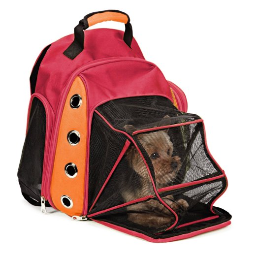 EXPAWLORER Mesh Multiple Deluxe Dog Carrier Travel Backpack Double Shoulders Straps Bag for Small Pet Puppy Cat Red Grey