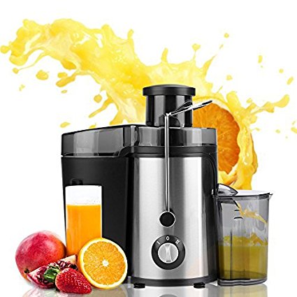 Juicer Juice Extractor High Speed for Fruit and Vegetables Dual Speed Setting Centrifugal Fruit Machine Powerful 350 Watt with Juice Jug, Premium Food Grade Stainless Steel