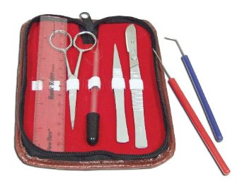 Frey Scientific 1016709 61 Series Student Dissection Kit with Replaceable Blade Scalpel and Zippered Case