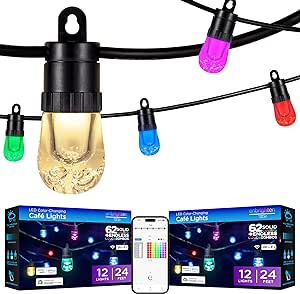 ENBRIGHTEN 2 Pack LED Premium Smart Color Changing String Lights, 24ft Black Cord, 12 Shatterproof Acrylic Bulbs, Weatherproof, Customizable, Wi-Fi App Control, Dimmable Outdoor String Lights, 82764