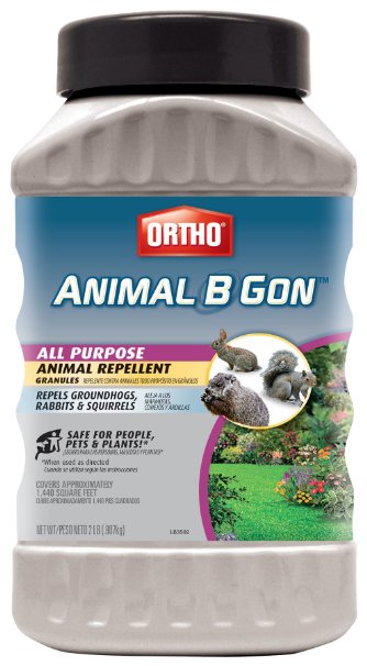 Ortho 489910 Animal B Gon All Purpose Animal Repellent Granules 2-Pound Squirrel Groundhog Rabbit and Other Small Herbivore Repellent