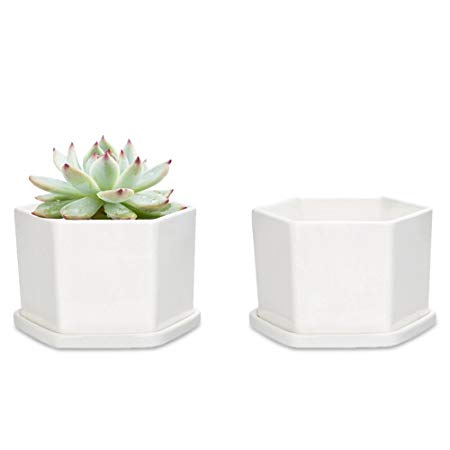 Mkono 4-Inch White Ceramic Succulent Plant Pot with Saucer Modern Cactus Planter Decorative Planting Bowl with Drainage Hole, Hexagon, Set of 2