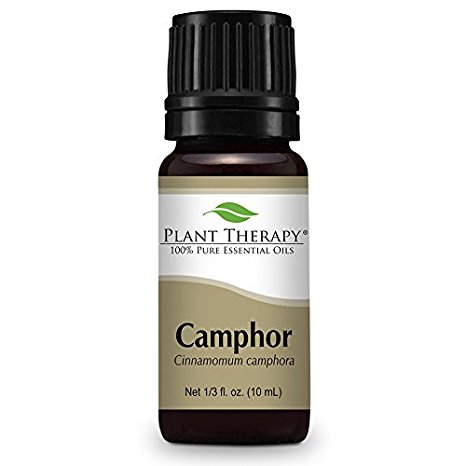 Camphor Essential Oil. 10 ml. 100% Pure, Undiluted, Therapeutic Grade