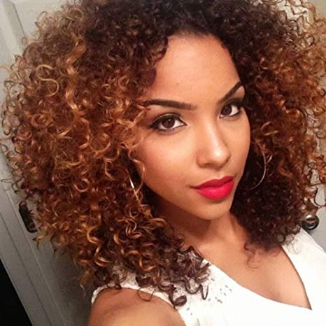 Mersi Brown Wigs for Black Women Short Curly Wigs Brown Ombre Hair Afro Kinky Wig Synthetic Hair Wigs with Wig Cap S007