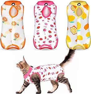 3 Pieces Cat Recovery Suit Kitten Recovery Suit E-Collar Alternative for Cats and Dogs Abdominal Skin Anti Licking Pajama Suit (Fruit Pattern, Large)