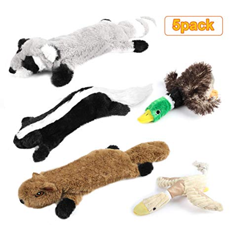 AiBast Dog Squeaky Toys,5 Pack Three no Stuffing Toy and Two Plush with Stuffing with Wild Goose Skunk Raccoon Wild Duck and Squirrel for Small Medium and Large Dogs.