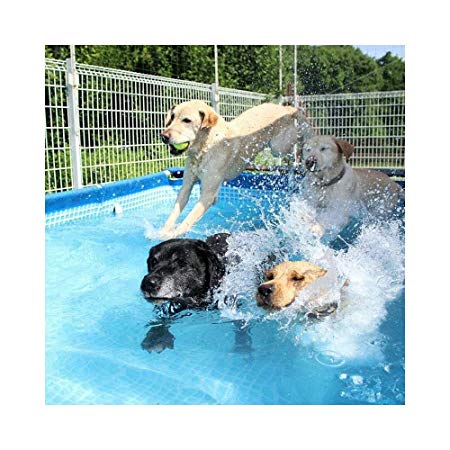 Oversized Heavy Duty Dog Outdoor Pool/Bathing Tub - Portable - 4 Sizes AvailableRectangular Frame Above Ground Baby Splash Pool (Size : 260 * 160 * 65cm)