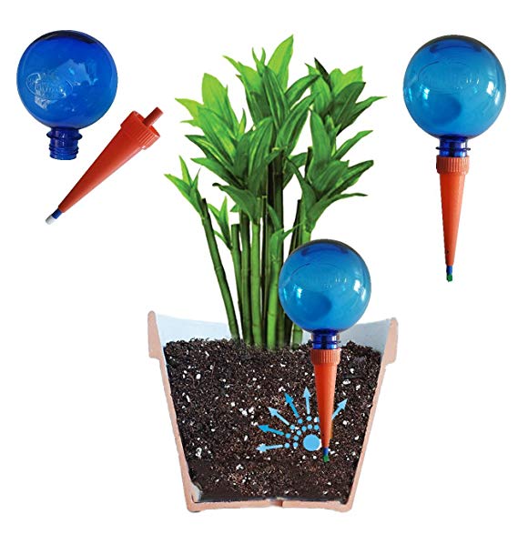 Plantpal Pack of 2 Large Watering Globes Clear Colours BLUE clear view of water level. Holiday and Everyday Self Watering for plants.