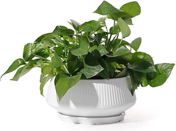 POTEY Large Plant Pots 8.8 Inch Indoor Ceramic Plant Pots with Watering Drainage Holes and Plugs for House Plants, Scindapsus Aureum and Ivy Vine - 805, White