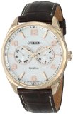 Citizen Mens AO9023-01A Eco-Drive Gold-Tone Watch with Brown Leather Band