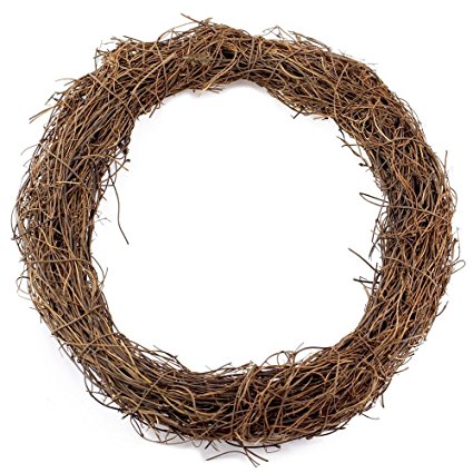 Supla 2 Pcs Grapevine Wreath Base 10 inch Grapevine Wreath Base Rustic Wreath Craft Base Wreath Form DIY Everyday Wreath