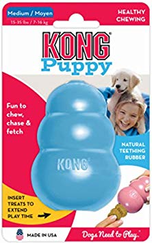 KONG Puppy KONG, assorted colors - Medium