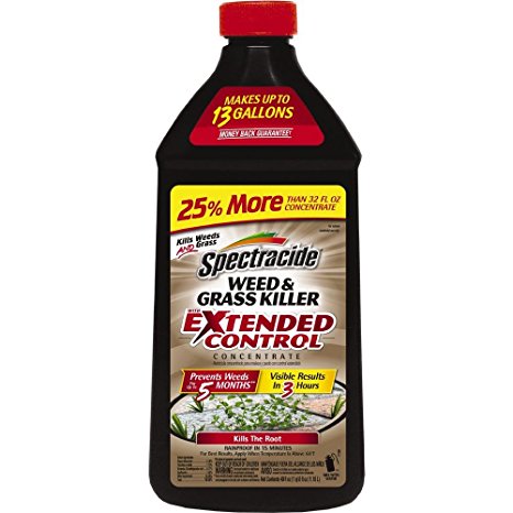 Spectracide Weed & Grass Killer w/Extended Control Concentrate, 40 oz.