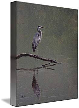 Imagekind Wall Art Print entitled Lake Lynn Heron #72 by Lori White | 11 x 14