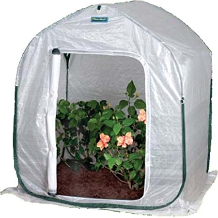 Flower House FHPH120 PlantHouse 2 Pop-Up Plant House