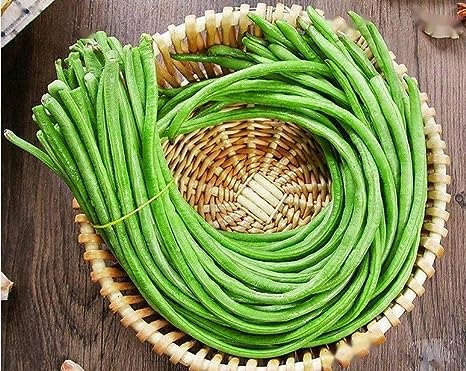 Pole Bean Seeds for Planting Vegetables and Fruits-Chinese Yard Long Beans 豇豆. Non GMO Heirloom Seeds for Home Vegetable Garden-6g(30ct ) Veggie Seeds Oriental Yard Long Bean Seeds