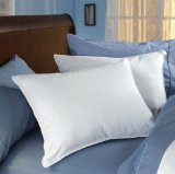 Pacific Coast Double Down Around Pillow - Queen