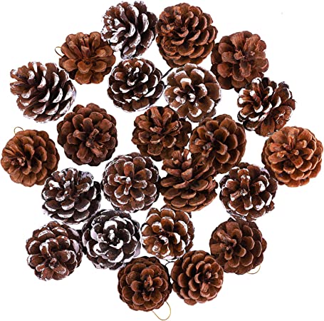 Cooraby 24 Pieces Mini Christmas Natural Pine Cones Snow Pine Cones Pendant 3 to 4 cm Pine Cones Ornament for Home Thanksgiving Christmas Party Decoration