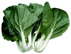 Cabbage PAK Choi White Stem Great Heirloom Vegetable By Seed Kingdom 400 Seeds