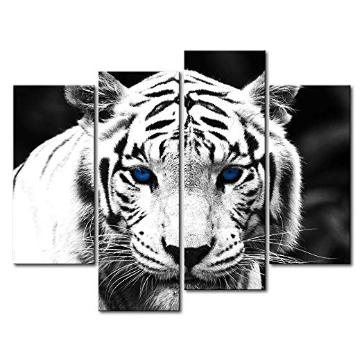 So Crazy Art Black & White 4 Panel Wall Art Painting Blue Eyed Tiger Prints On Canvas The Picture Animal Pictures Oil For Home Modern Decoration Print Decor For Kitchen