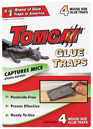 Tomcat Mouse Glue Trap, 4-Pack - Not Sold in AK