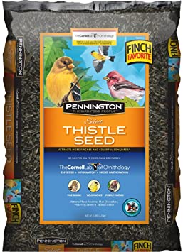 Pennington Seed Thistle Bird Feeder, 10-Pound