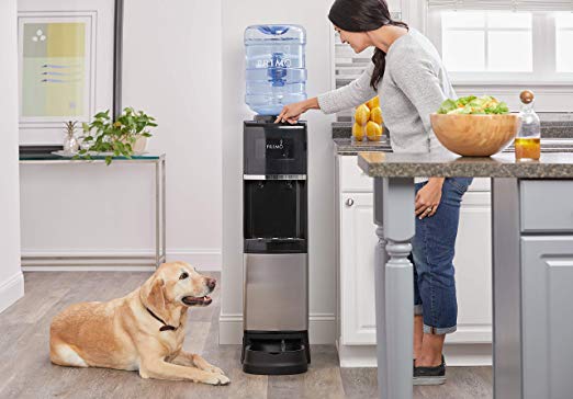 Primo® Water Cooler Dispenser   Pet Station