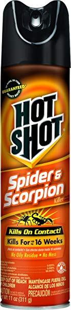 Hot Shot Spider & Scorpion Killer (Aerosol) (HG-64490) (Pack of 12)