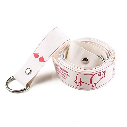 Wintape Professional Cattle Weight (KG) & Height (cm) Tape Measure