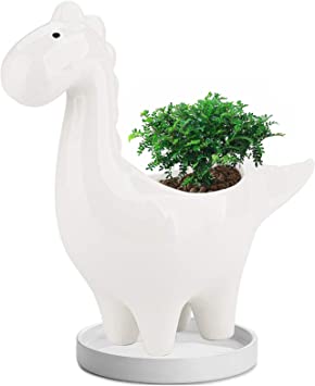 Dinosaur Planter Pot with Drainage Hole & Saucer, 7 inch Glazed White Ceramic Pot for Indoor Succulent Plants Home Office Cactus Decor