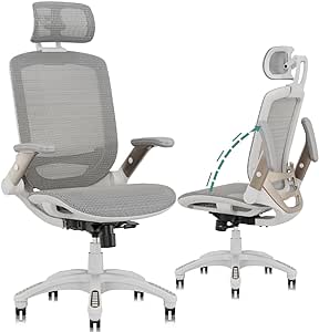 GABRYLLY Ergonomic Office Chair