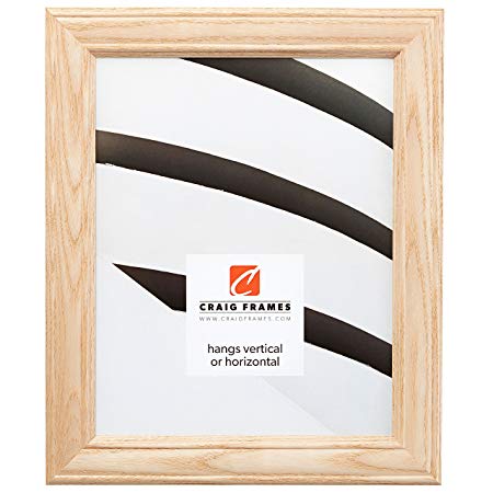 Craig Frames 59504RAW 16 by 20-Inch Picture Frame, Wood Grain Finish, 1.25-Inch Wide, Raw Ash