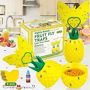 Fruit Fly Trap for Indoors, Effective Fly Catcher Gnat Trap with Yellow Sticker, Fruit Fly Killer Non-Toxic Fly Catcher Gnats Trap for House Indoor Comes with Attractant for Home (2 Pack)