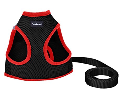 Soft Mesh Dog Harness for Small Puppy Cats with Leash