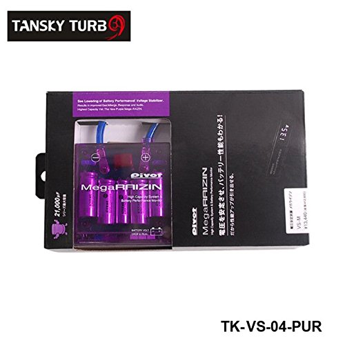 Mega RAIZIN Volt Stabilizer / With 5 Wires Digisplay TK-VS-04-PUR