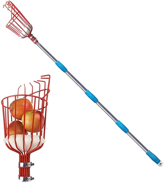 GLORYA Fruit Picker - 8ft Length Adjustable Lightweight Fruit Catcher Tool - Stainless Steel Apple Orange Pear Mango and Other Fruit Tree Picker Pole with Basket