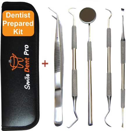 Dentist Tools Kit | Dental Tools Dental Pick Dental Floss Gum Floss Threaders Toothpicks dental Hygiene Kit Set Dental Instruments High Grade Stainless Steel Tartar Scraper Tartar Remover