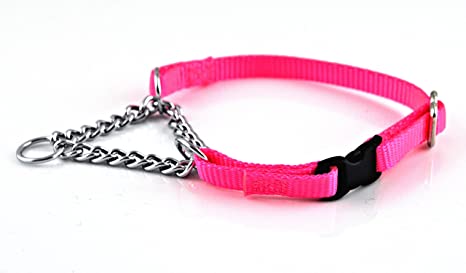 Pawmark Nylon Martingale Adjustable Chain Collar with Quick-Snap Release