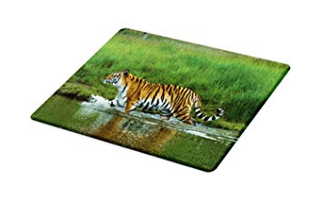 Ambesonne Safari Cutting Board, Siberian Tiger Panthera Tigris Altaica in the Water Greenery Lake River Wildlife, Decorative Tempered Glass Cutting and Serving Board, Large Size, Apricot Green