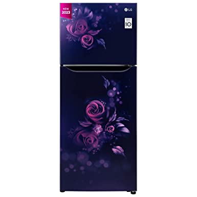 LG 242 L 2 Star Smart Inverter Frost-Free Double Door Refrigerator (GL-N292BBEY, Blue Euphoria, Smart Connect)